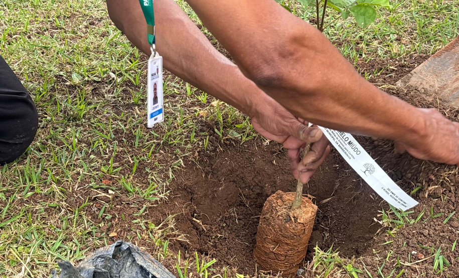 “333 anos de Curitiba”: nova exposição do Arquivo Público do Paraná destaca o papel das áreas verdes na identidade da Capital