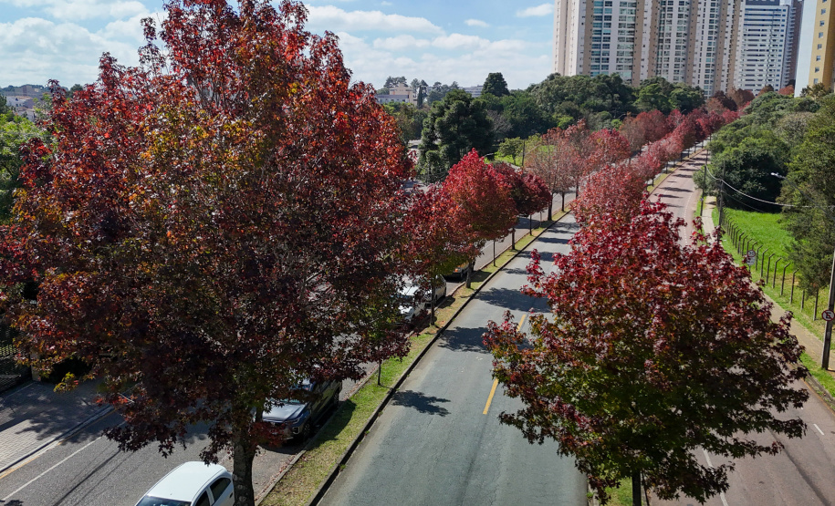 Outono começa na sexta com chuva acima da média e mais dias com amplitude térmica