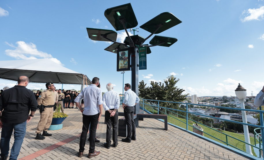 Conectividade e IA: startup cria “araucária digital” com apoio do Paraná Anjo Inovador