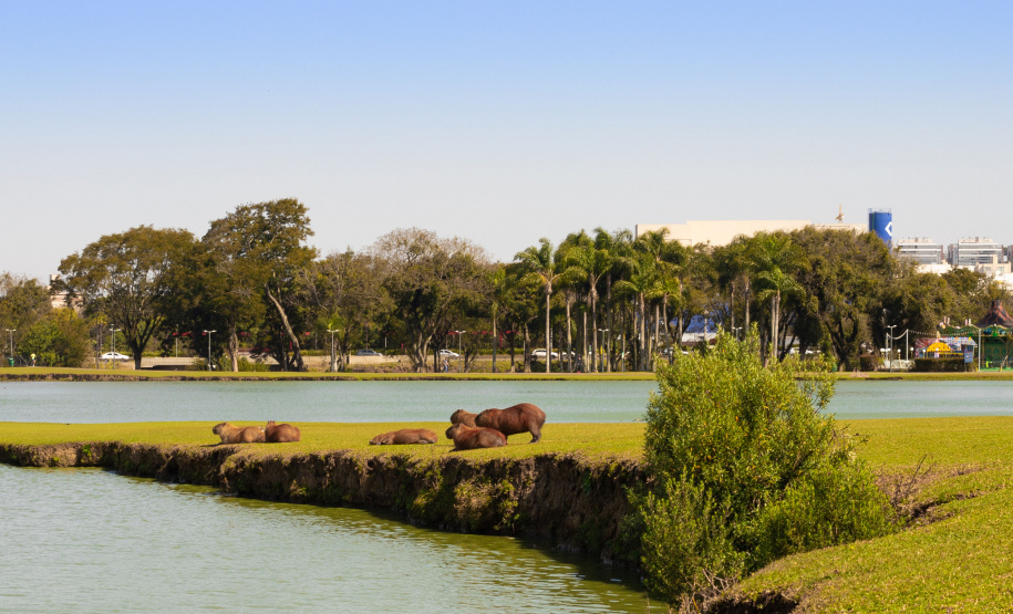 SIMEPAR - ABRIL MANTERÁ CHUVA ABAIXO E TEMPERATURA ACIMA DA MÉDIA NA MAIOR PARTE DO PARANÁ