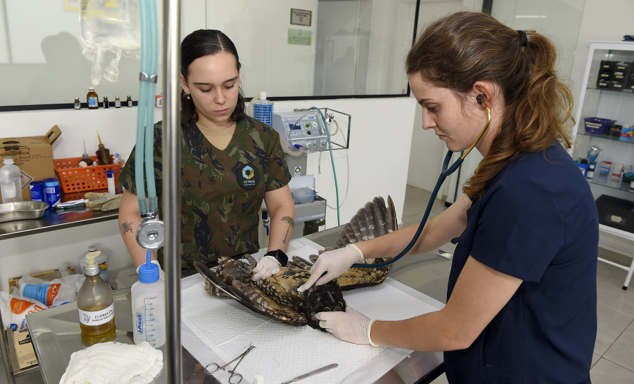 IAT e Unicentro renovaram o convênio para atendimento à fauna silvestre vitimada por mais dois anos.