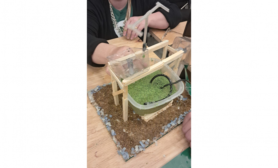 Rede de Clubes de Ciência fortalece protagonismo de meninas na pesquisa escolar