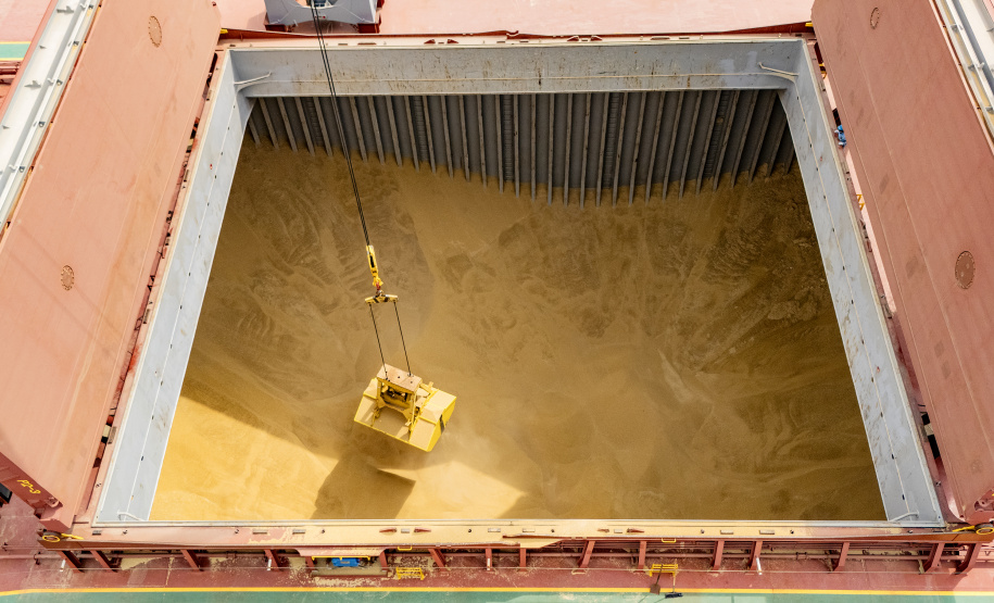 Porto de Paranaguá registra maior operação de cevada em um único navio