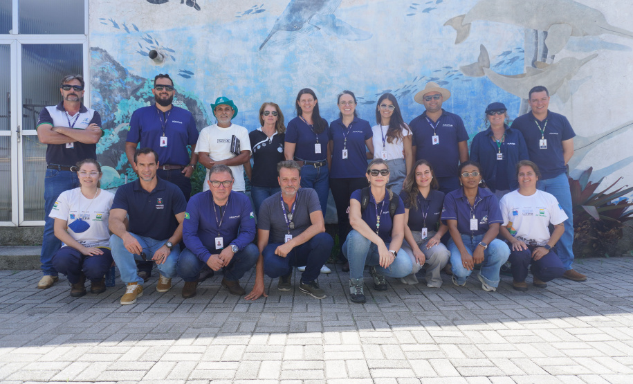 Adapar inicia operação de combate à influenza aviária no Litoral do Estado