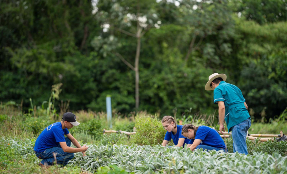 Colégio agrícola alia ensino técnico e produção e atinge receita milionária Caixa de entrada