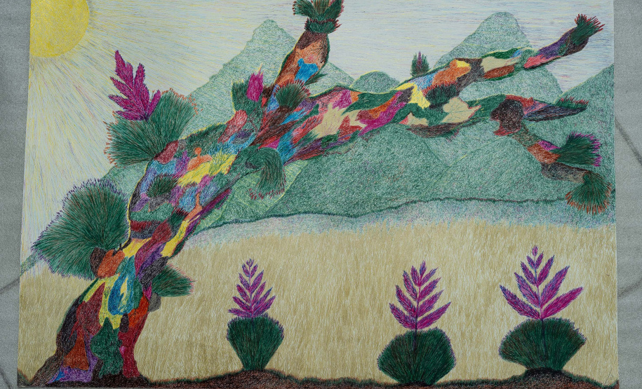 SEEC - Museu Casa Alfredo Andersen assina curadoria de nova exposição de Marçal Marques