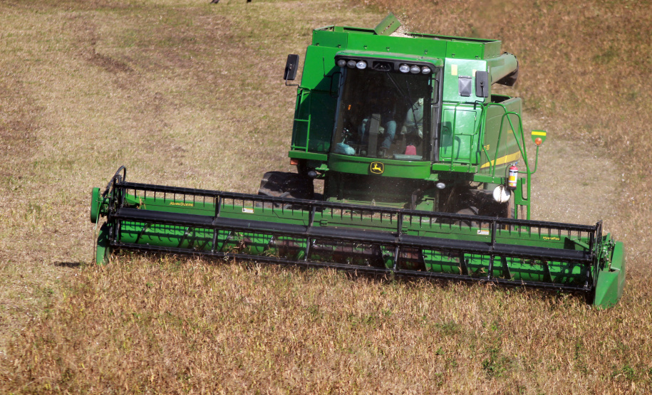 IDR-Paraná lança cultivar de feijão em Ponta Grossa