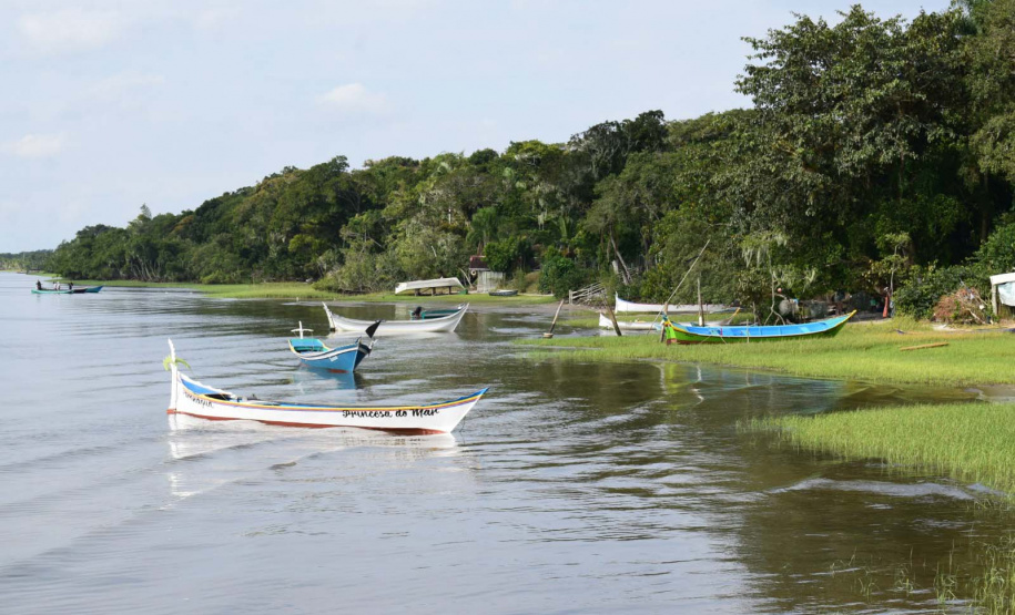 IDR-Paraná fortalece o turismo de base comunitária na Ilha do Maciel