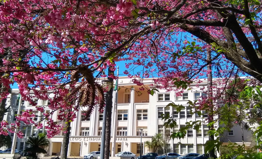 Colégio Estadual do Paraná celebra 180 anos de tradição e impacto na educação do Estado