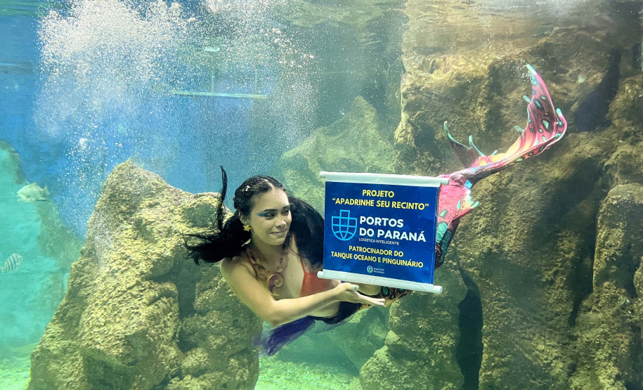 Sugerstão | Reforma patrocinada pela Portos do Paraná melhora visitação no Aquário de Paranaguá