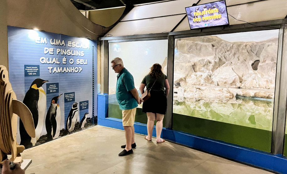Sugerstão | Reforma patrocinada pela Portos do Paraná melhora visitação no Aquário de Paranaguá