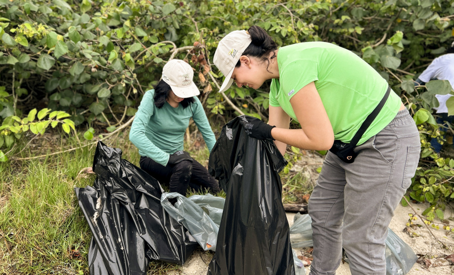 Mutirão da Portos do Paraná recolhe quase 200 kg de resíduos em manguezais