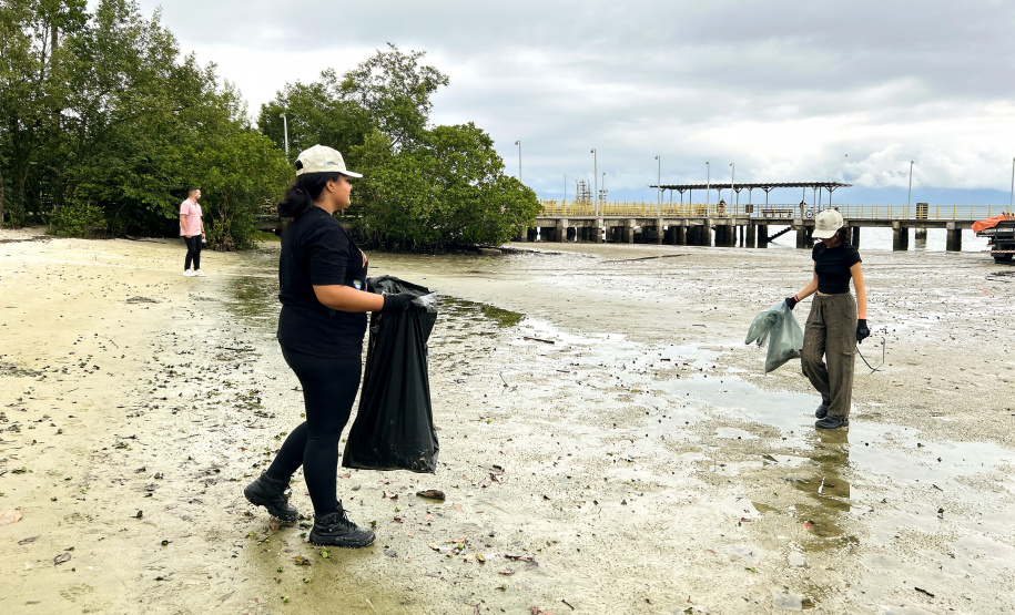 Mutirão da Portos do Paraná recolhe quase 200 kg de resíduos em manguezais