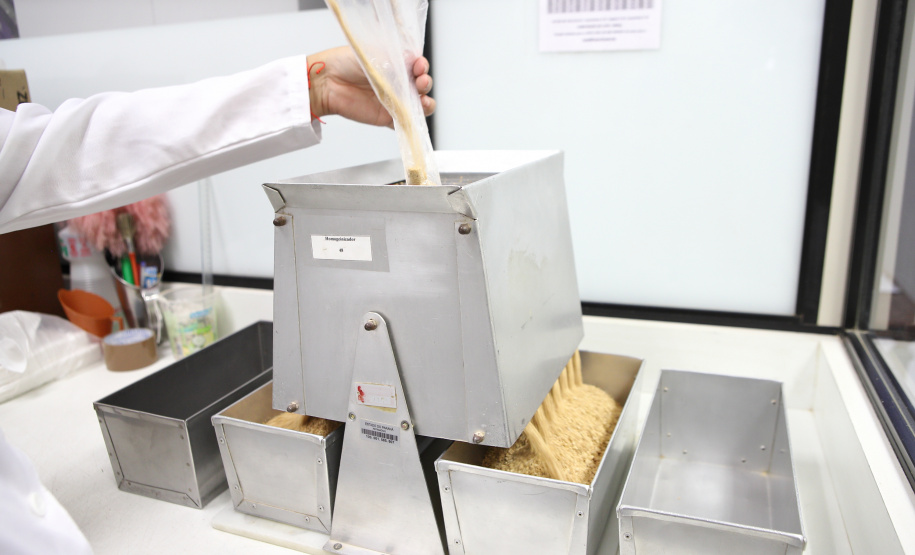 IDR - Logística e Confiança: O Papel Estratégico do IDR-Paraná no Porto de Paranaguá