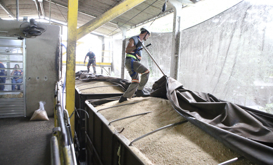 IDR - Logística e Confiança: O Papel Estratégico do IDR-Paraná no Porto de Paranaguá