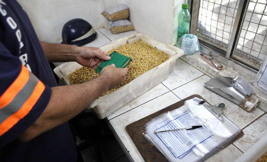 IDR - Logística e Confiança: O Papel Estratégico do IDR-Paraná no Porto de Paranaguá