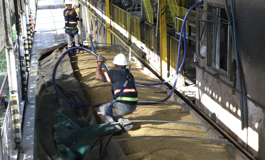 IDR - Logística e Confiança: O Papel Estratégico do IDR-Paraná no Porto de Paranaguá