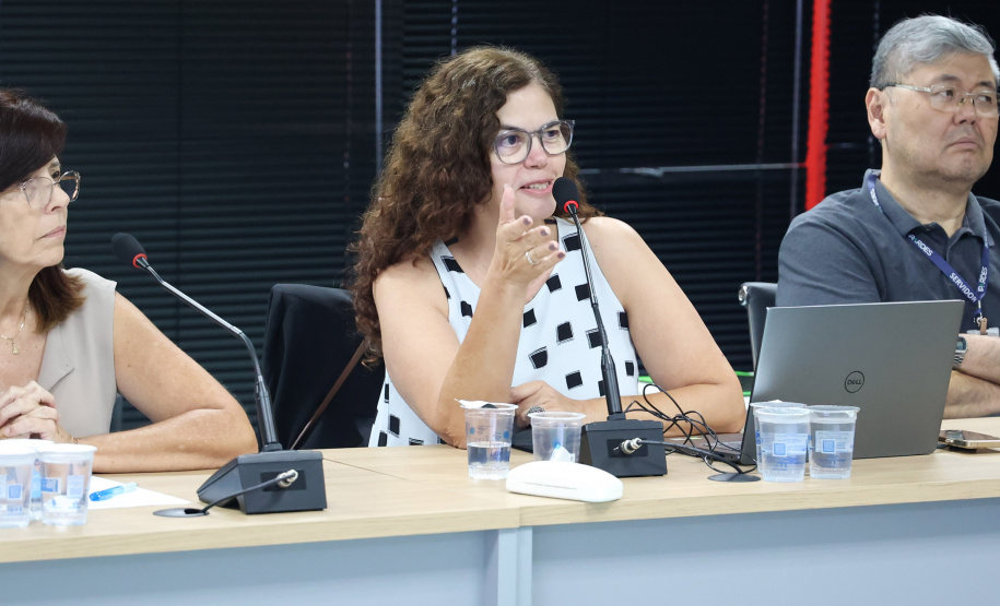 Governo do Paraná e Banco Mundial se reúnem para preparar documentação do PSH