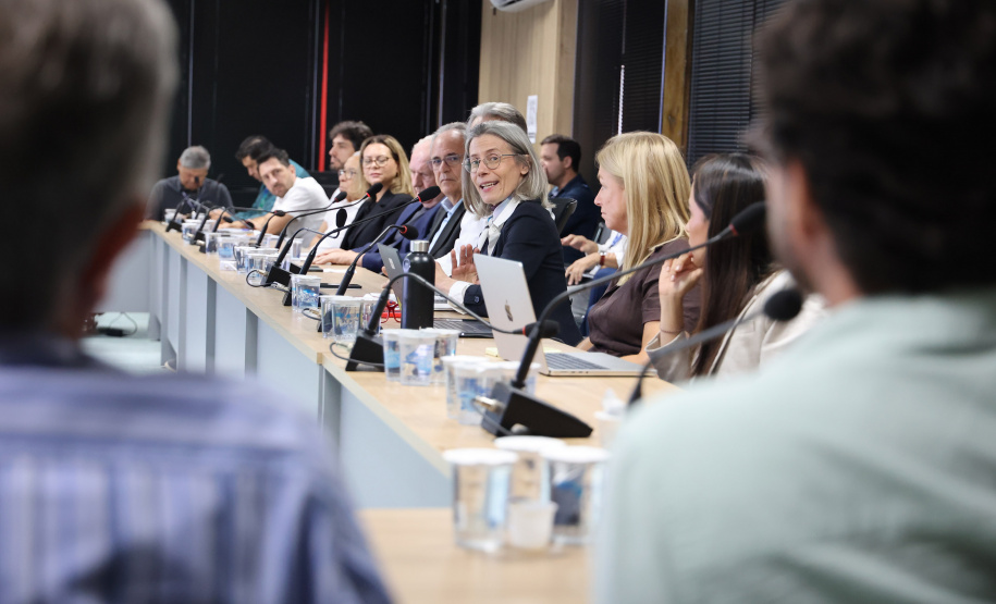 Governo do Paraná e Banco Mundial se reúnem para preparar documentação do PSH