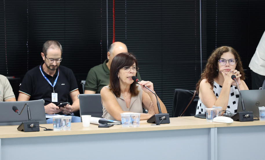 Governo do Paraná e Banco Mundial se reúnem para preparar documentação do PSH