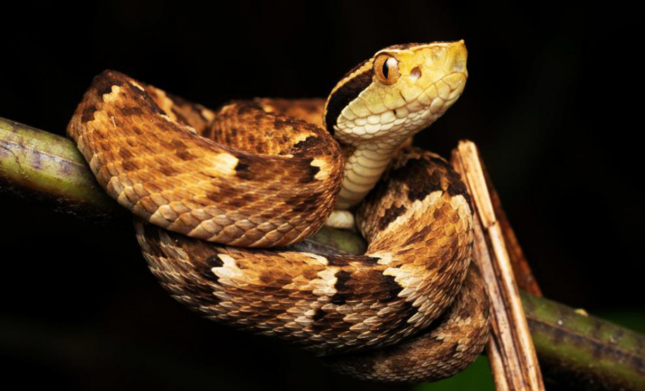 45 mil metros cúbicos de concreto e 5,5 mil toneladas de aço: Ponte de Guaratuba revoluciona a baía