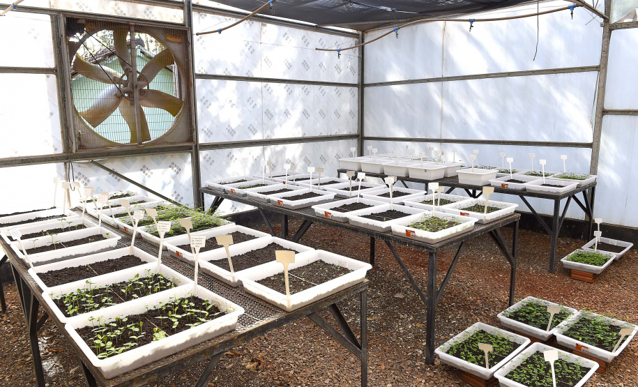 IAT - Paraná Mais Verde