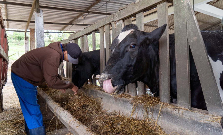 Colégio agrícola alia ensino técnico e produção e atinge receita milionária Caixa de entrada