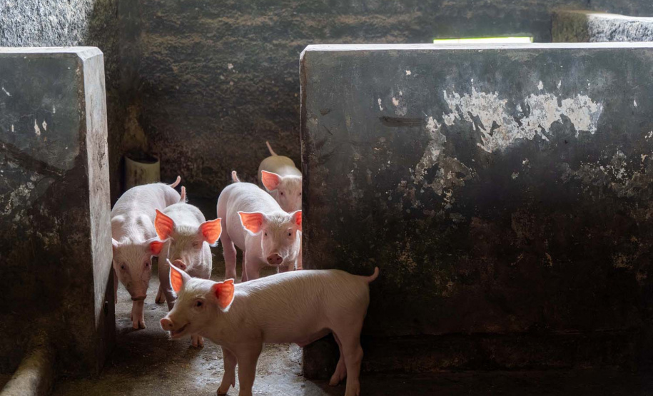 Colégio agrícola alia ensino técnico e produção e atinge receita milionária Caixa de entrada