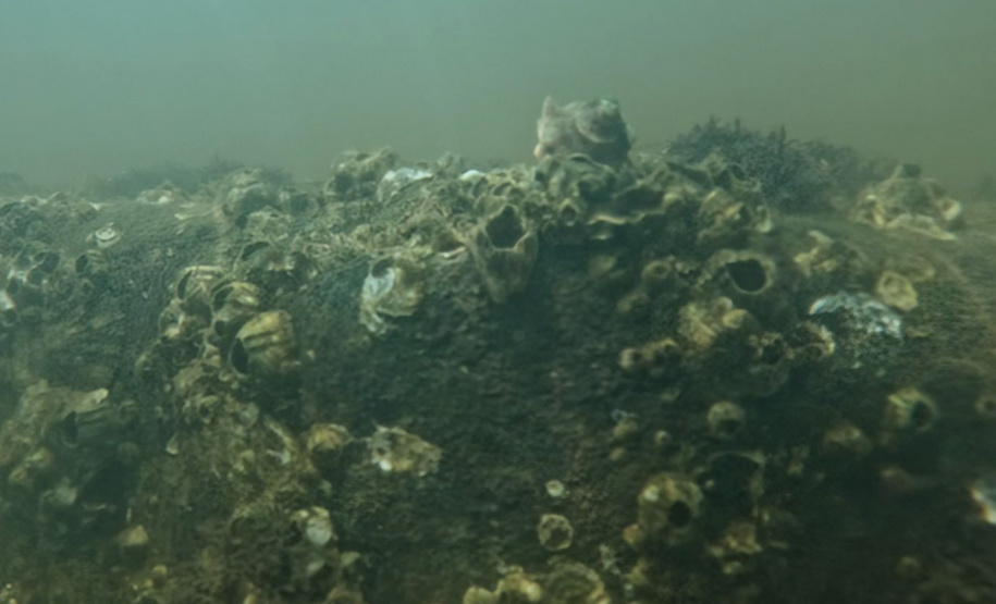 45 mil metros cúbicos de concreto e 5,5 mil toneladas de aço: Ponte de Guaratuba revoluciona a baía