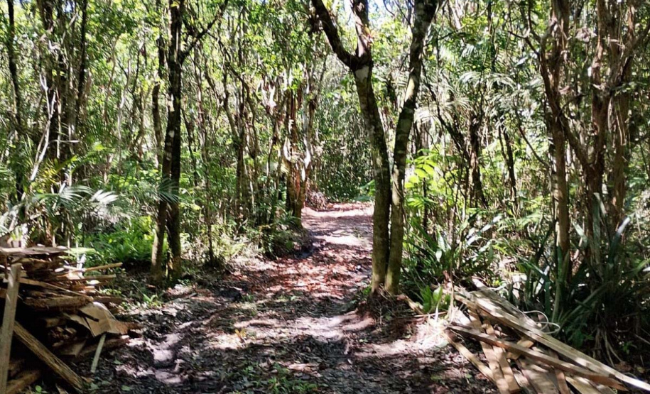 Balanço Operação Verão