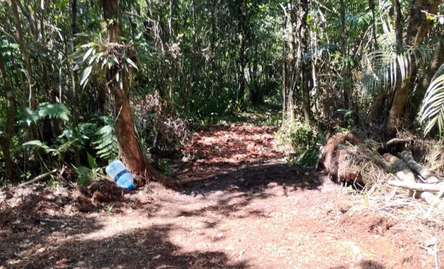 Balanço Operação Verão