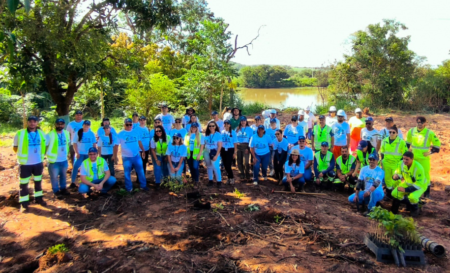 IAT - Plantio Jacarezinho