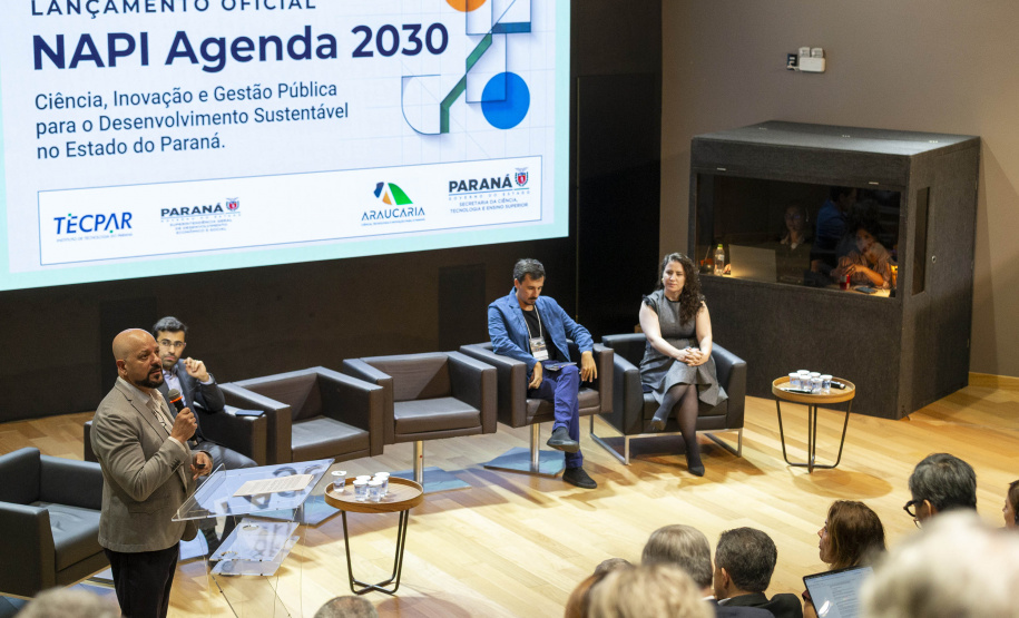 FUNDAÇÃO ARAUCÁRIA - NAPI 2030