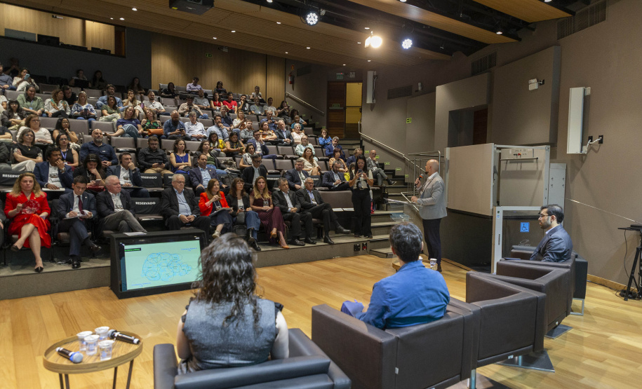 FUNDAÇÃO ARAUCÁRIA - NAPI 2030