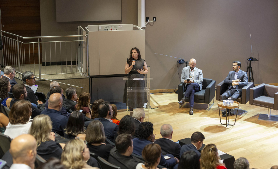 FUNDAÇÃO ARAUCÁRIA - NAPI 2030