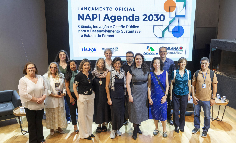 FUNDAÇÃO ARAUCÁRIA - NAPI 2030