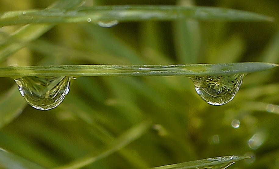 IAT - Programação Dia Mundial da Água
