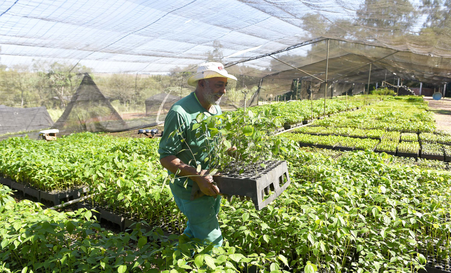 IAT - Paraná Mais Verde