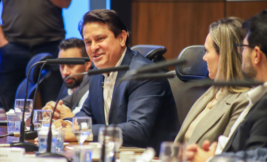 VICE PARANÁ PRODUTIVO