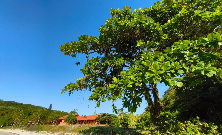 ESCOLA ILHA DAS COBRAS