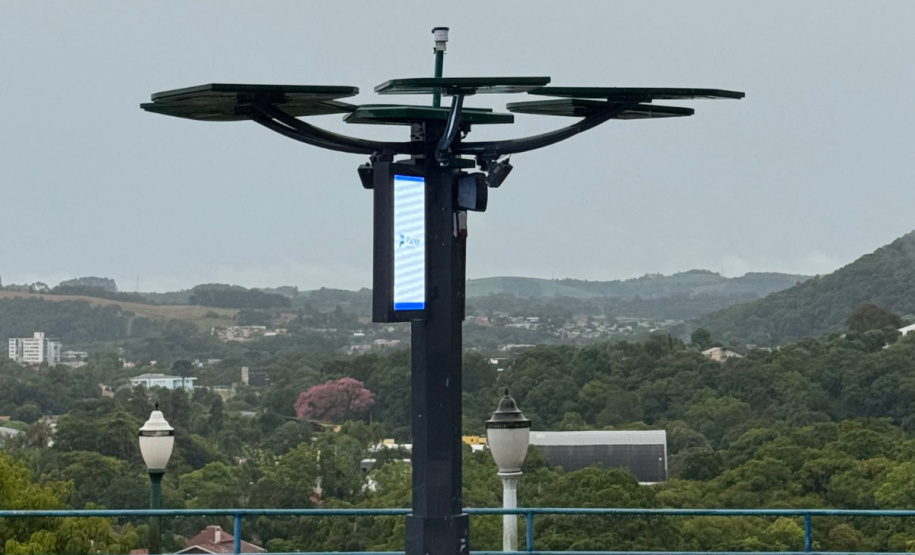 INOVA PR - Startup cria “araucária digital” com apoio do Paraná Anjo Inovador