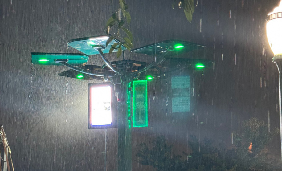 INOVA PR - Startup cria “araucária digital” com apoio do Paraná Anjo Inovador