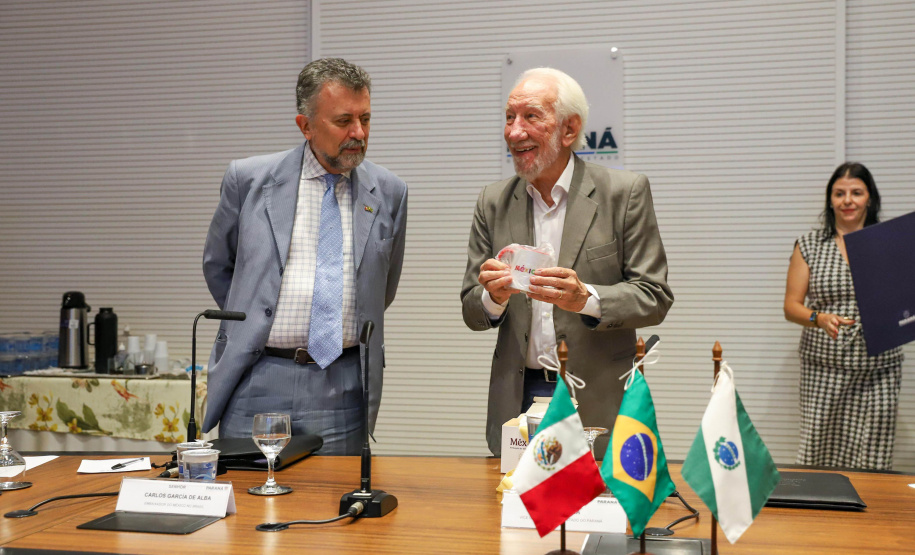 VICE GOV AGENDA MEXICO