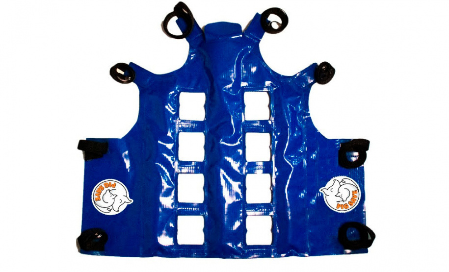 Tecnologia e bem-estar animal: startup paranaense avança na suinocultura com apoio do Anjo Inovador