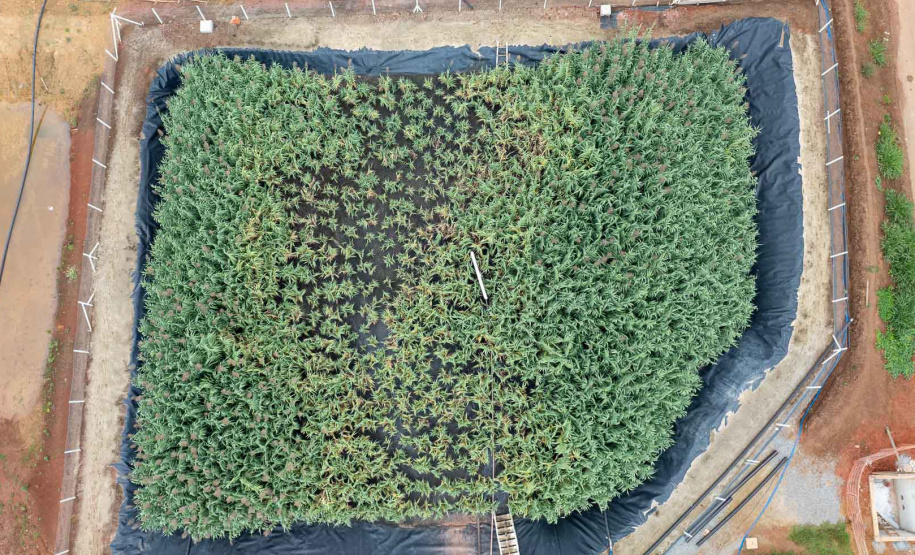 Gestão inteligente do lodo no tratamento de esgoto da Sanepar conquista prêmio nacional