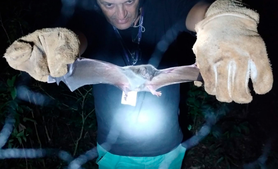 Adapar realiza treinamento para controle de zoonoses em animais de produção