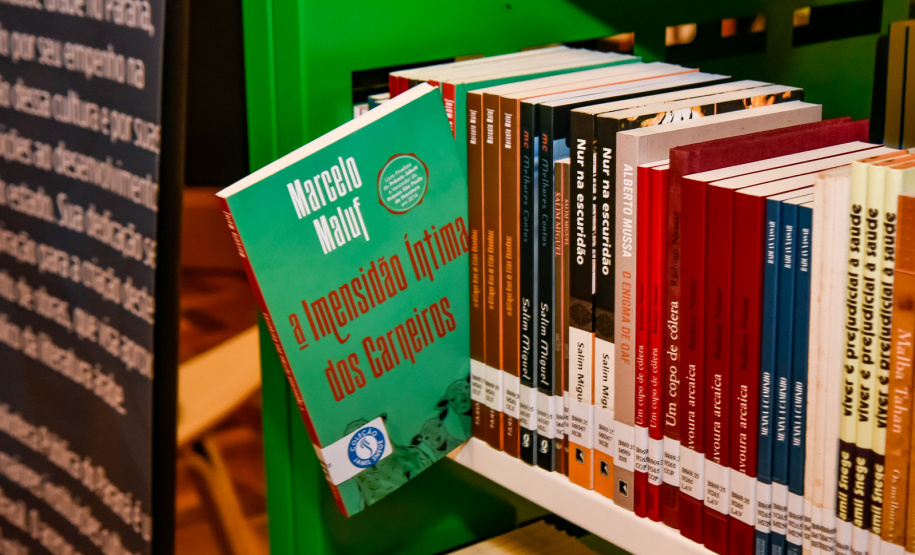 SEEC - Cultura abre consulta pública para Editais de Apoio a Publicações Independentes e Música Urbana e Independente