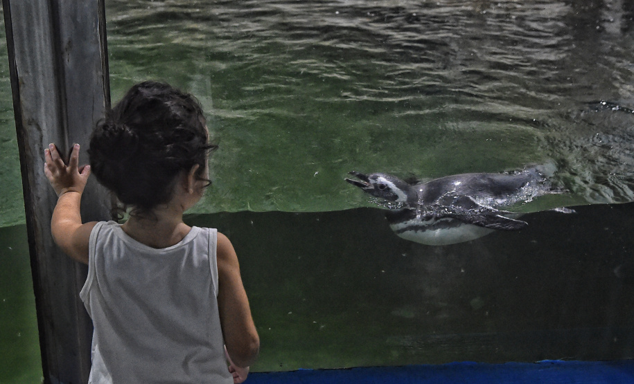 IAT - Unidades de Conservação