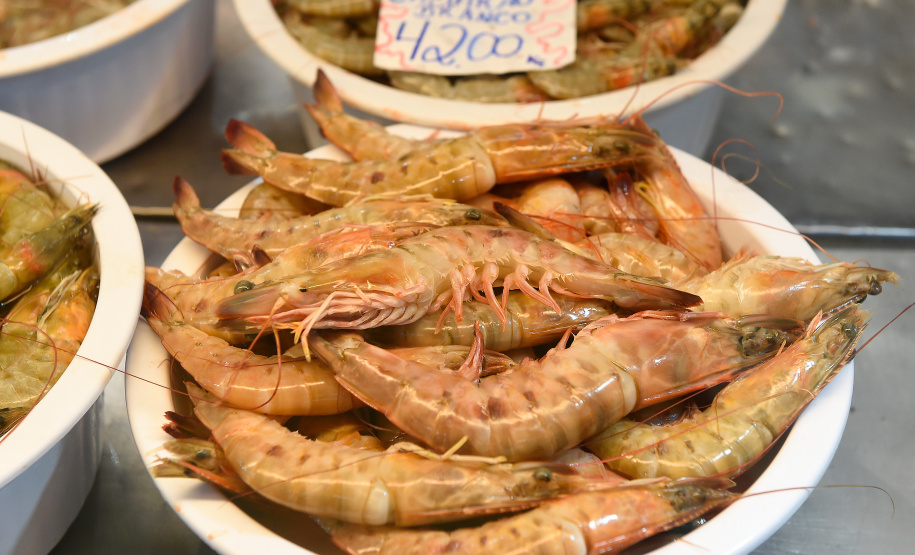 Período de defeso do camarão termina nesta quinta-feira no Paraná