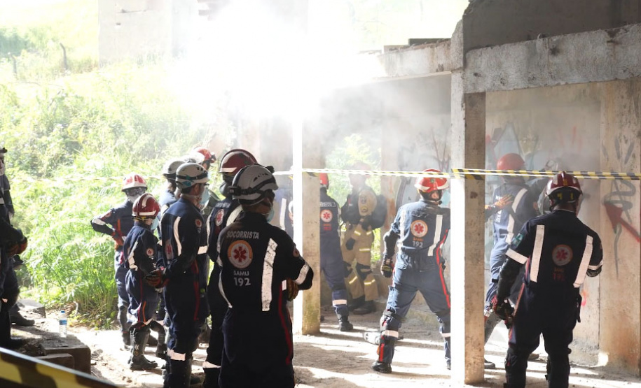 Treinamento reforça papel estratégico dos cães de busca dos bombeiros em resgates